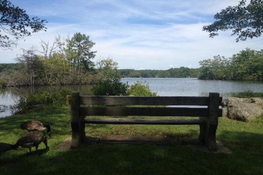 an empty park bench next to a body of water