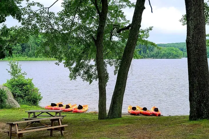 a large green field with trees in the background