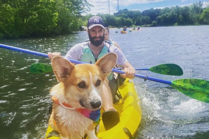 a dog sitting on a boat in the water